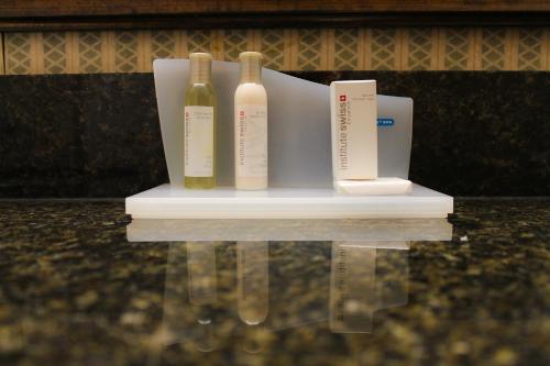 رامادا بلازا باي ويندهام أطلانطا إيربورت رامادا بلازا باي ويندهام أطلانطا إيربورت