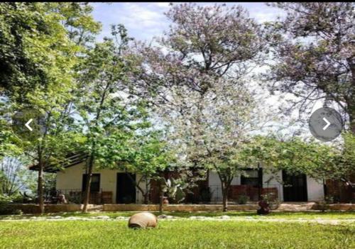  LİKYA SAKLIBAHÇE in Kemer