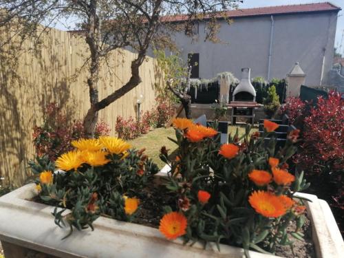 Alexis House gîte à louer Gagno