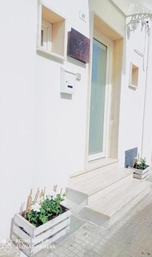  La stella di Chanel in Nardò