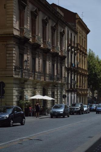 Papali - image 6
