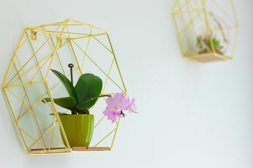 Gold Class Apartments AMS