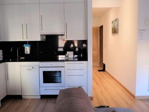 Apartment in Ourense near Hot Springs, Ourense (fotografie 4)