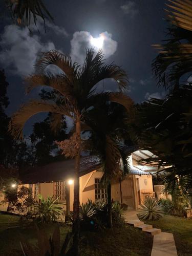 Pura Vida Vegana – Cahuita, LA