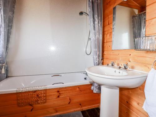 Hazel Lodge Bodmin - image 8