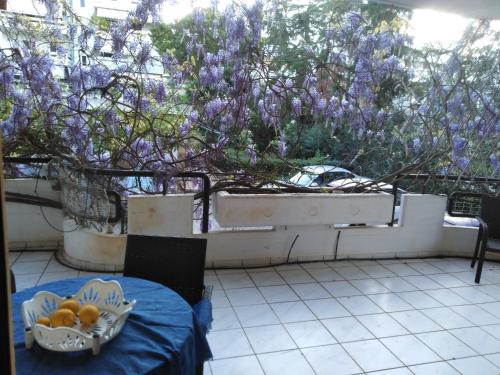 Filyra Homestay (Όμορφο δωμάτιο σε σπίτι), Афины (фото 3)