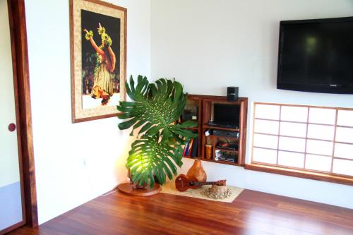 GUEST HOUSE IN HILO