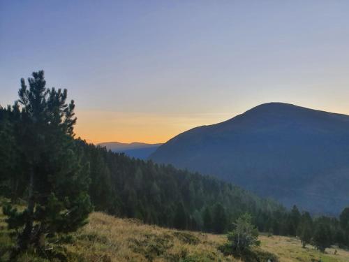 Almhütte Prem 1 in Ramingstein, Österreich