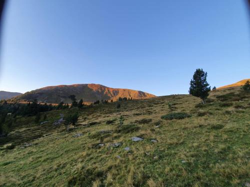 Almhütte Prem 1 in Ramingstein, Österreich