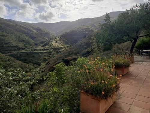 Cortijo Vacas Gordas Villas in Castell de Ferro