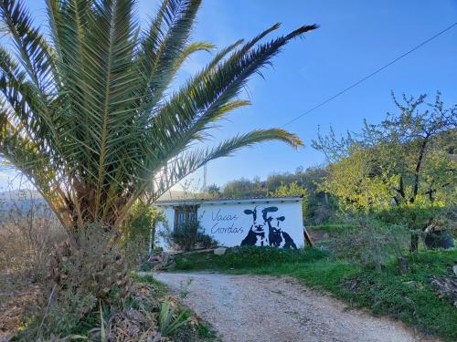  Cortijo Vacas Gordas Villas in Castell de Ferro