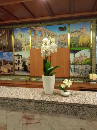 Hotel ELE Acueducto - image 6