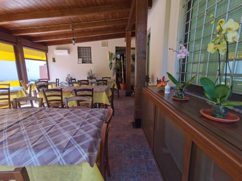 Hotel Edelweiss - image 10