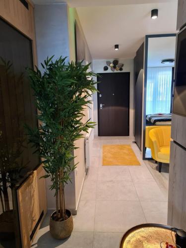 Instalaciones, Wellness Apartments in Varazdin