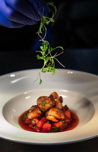 Blonde Hedgehog in St. Anne