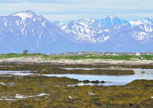 Villa Lofoten - The Saltery Villa Lofoten - The Saltery