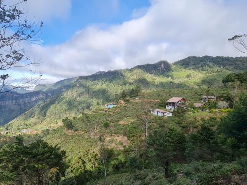 Hill Safari - Tea Estate Villa