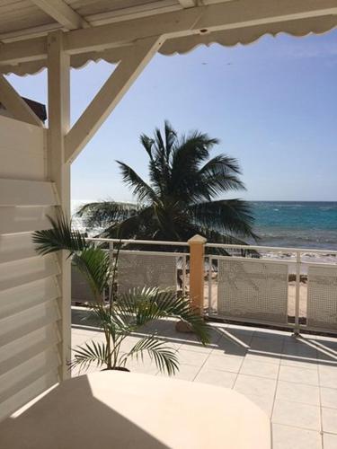 Μπαλκόνι/βεράντα, Studio lumineux avec vue sur la mer à Capesterre, 20 m², terrasse (Studio lumineux avec vue sur la mer a Capesterre, 20 m², terrasse) in Capesterre-de-Marie-Galante