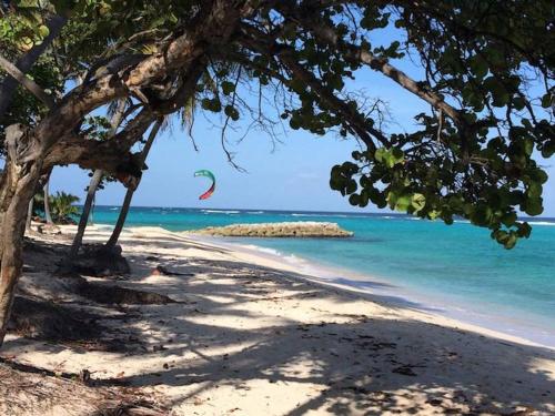 Θέα, Studio lumineux avec vue sur la mer à Capesterre, 20 m², terrasse (Studio lumineux avec vue sur la mer a Capesterre, 20 m², terrasse) in Capesterre-de-Marie-Galante