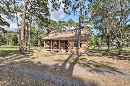 Quaint and Quiet Belleview Cabin on 35 Acres! in Ocklawaha