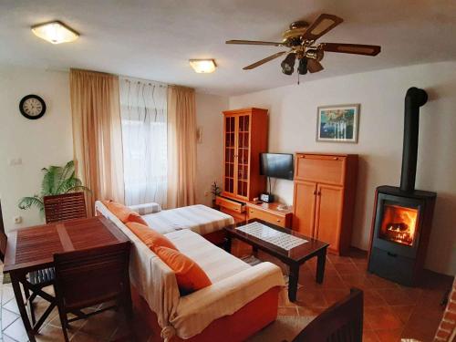 Holiday home in Saftici 26679 in Grizane