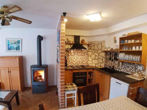 Kitchen, Holiday home in Saftici 26679 in Grizane