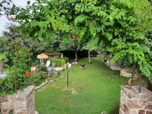 Apartamentos Alburiñas Ribeira Sacra