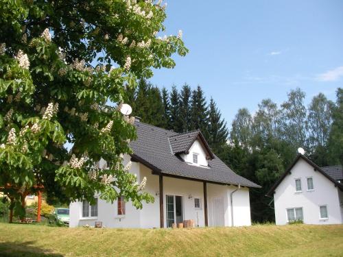 Four-Bedroom House with Sauna
