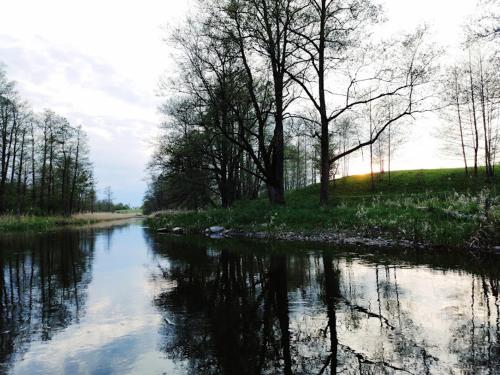 Oaza nad Krutynią