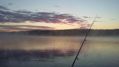 Oaza nad Krutynią