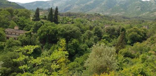 Chri Chri Guesthouse