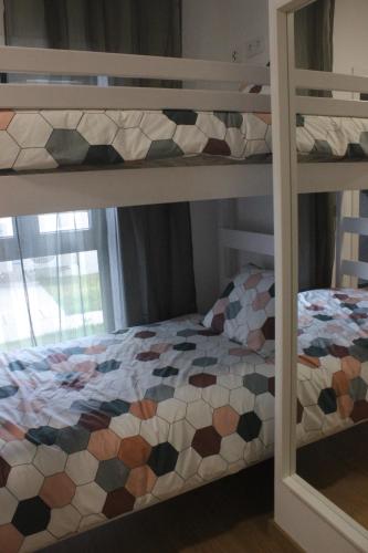 4-Bed Mixed Dormitory Room