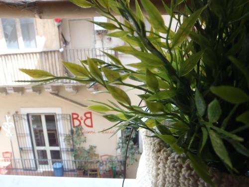 Gianluca's Room