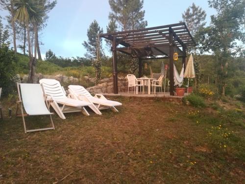 花園, QUINTA DO CAMBEIRO in 帕雷德斯德高拉