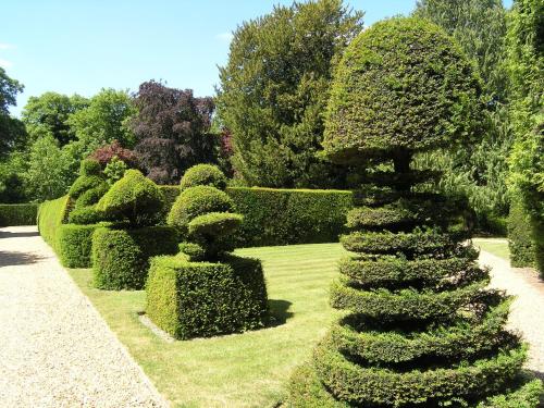 Madingley Hall - image 11