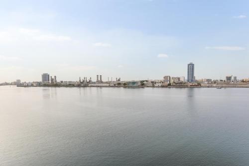 Live wondering timeless Mangroves of RAK