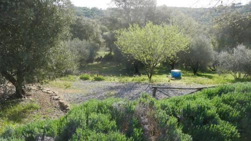 Tenuta Le Mandorlaie, Agriturismo in Scansano