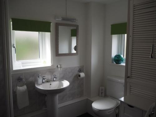 Deluxe Double Room image 5