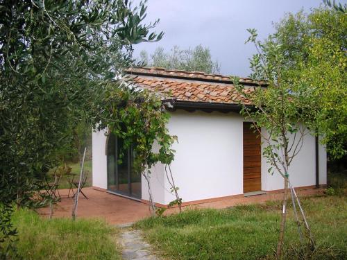 

La Casetta Tra Gli Ulivi