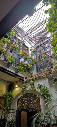 Appartement à 250m de la plage (Appartement a 250m de la plage) in Benalmadena