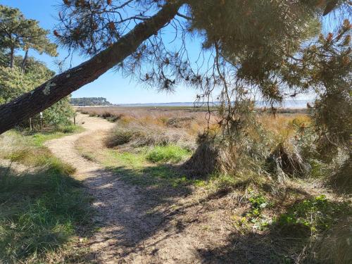 Mobilhome Les Viviers - Cap Ferret