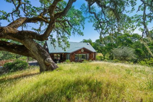 Healdsburg Home with Magnificent Vineyard View home