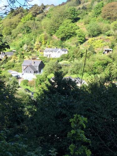 Woodland View Apartment - Ilfracombe