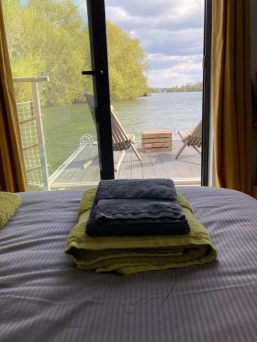 View, SeineHouse - Maison flottante (HouseBoat) - Sejour magique sur l'eau in Triel-Sur-Seine