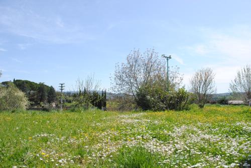  Agriturismo Fattoria di Malavolta in Florenz