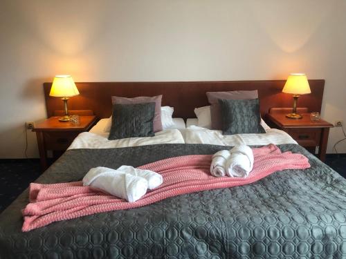 薇拉安娜- 波克耶格斯尼公寓 (Willa Anna - Pokoje Goscinne) in 戈薩科維斯茲德魯伊