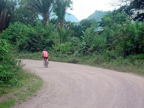 Omega Tours Eco-Jungle Lodge