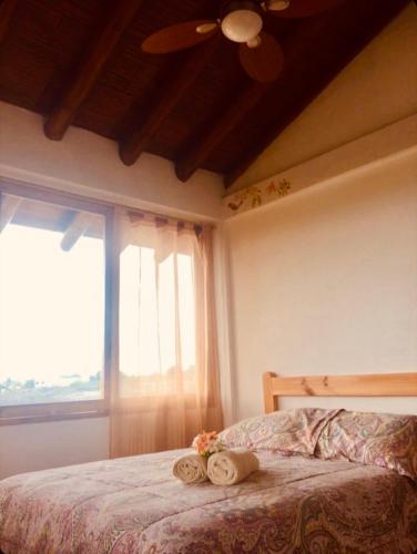 1 twin bed