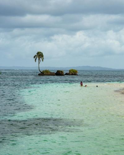 strand, Twin Fin Hostels in Bocas stad
