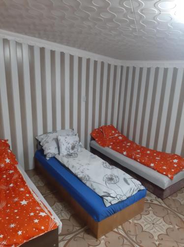 Basic Triple Room with Shared Bathroom